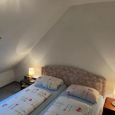 Haus Dulshorn Apartment *