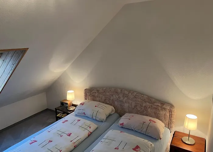 Haus Dulshorn 公寓 *