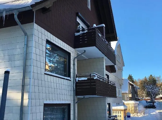 公寓 Haus Dulshorn 布劳恩拉格