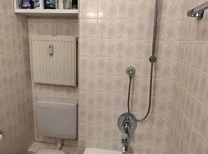 Haus Dulshorn * 布劳恩拉格