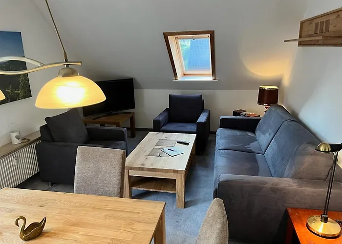 公寓 Haus Dulshorn *